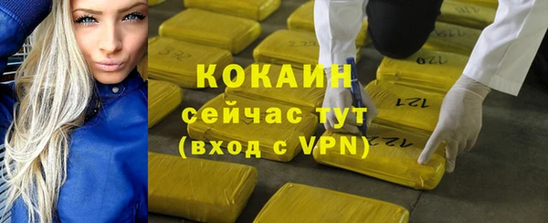 СК Елизово
